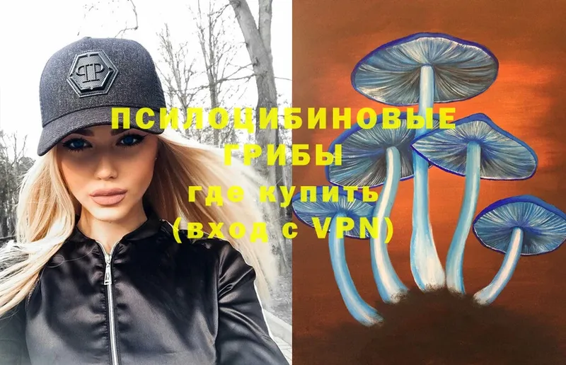 как найти закладки  Бирск  Псилоцибиновые грибы Psilocybe 